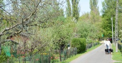 Działki w Rodzinnych Ogrodach Działkowych w 3 lata zdrożały o blisko 30 proc.